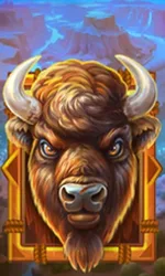 Buffalo Gold Canyon